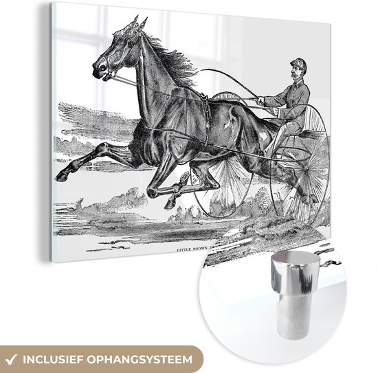Glasschilderij - een paard in de drafsport - Acrylglas Schilderijen - Foto op Glas