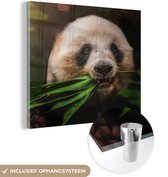 MuchoWow® Glasschilderij 90x90 cm - Schilderij acrylglas - Dieren - Panda - Jungle - Foto op glas - Schilderijen