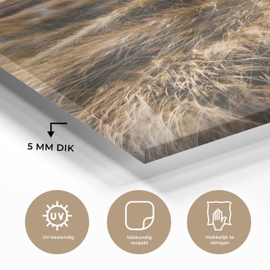 MuchoWow® Peinture sur verre 80x120 cm - Peinture sur verre acrylique - Plage - Mer - Scheveningen - Nederland - Photo sur verre - Peintures