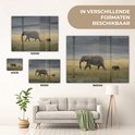 Product afbeelding  9
