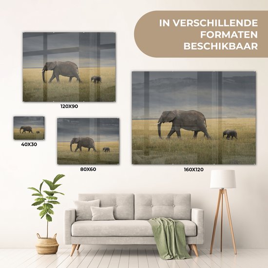 ® Glasschilderij 120x90 cm - Schilderij acrylglas - Olifant - Savanne - Dieren - Natuur - Foto op glas - Muurdecoratie woonkamer - Wanddecoratie slaapkamer - Schilderijen