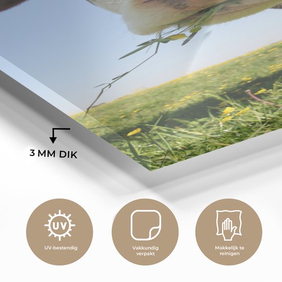 Peinture sur Verre - Vache - Animal - Fleurs - 20x40 cm - Peintures sur Verre Peintures - Photo sur Glas