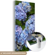 MuchoWow® Glasschilderij 20x40 cm - Schilderij acrylglas - Bos bloemen van hortensia - Foto op glas - Schilderijen