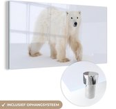 MuchoWow® Glasschilderij 120x60 cm - Schilderij acrylglas - IJsbeer - Sneeuw - Wit - Foto op glas - Schilderijen