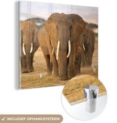 MuchoWow® Glasschilderij 90x90 cm - Schilderij acrylglas - Olifanten familie - Foto op glas - Schilderijen