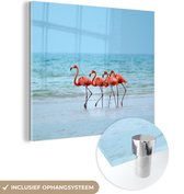 MuchoWow® Glasschilderij 20x20 cm - Schilderij acrylglas - Vier flamingo's staan op het strand - Foto op glas - Schilderijen
