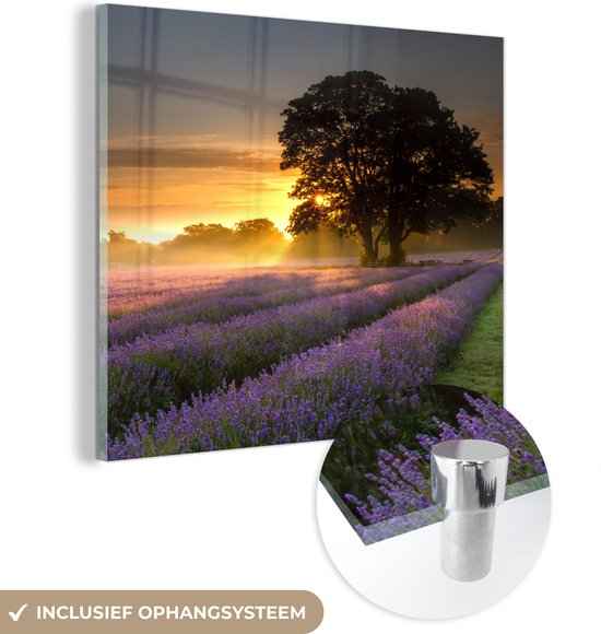 MuchoWow® Glasschilderij 20x20 cm - Schilderij acrylglas - Mayfield lavendel veld met een mistige zonsopgang - Foto op glas - Schilderijen