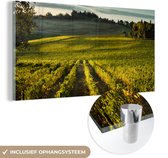 MuchoWow® Glasschilderij 40x20 cm - Schilderij acrylglas - Toscane - Landschap - Wijn - Foto op glas - Schilderijen