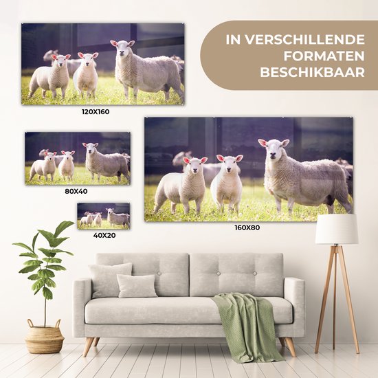 MuchoWow® Peinture sur verre 120x60 cm - Peinture sur verre - Mouton - Agneau - Fleurs - Photo sur verre acrylique - Peintures