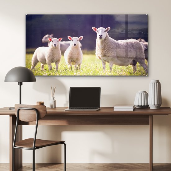 MuchoWow® Peinture sur verre 120x60 cm - Peinture sur verre - Mouton - Agneau - Fleurs - Photo sur verre acrylique - Peintures
