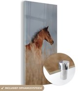 MuchoWow® Glasschilderij 60x120 cm - Schilderij acrylglas - Paard - Lucht - Gras - Foto op glas - Schilderijen