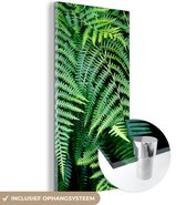 MuchoWow® Glasschilderij 20x40 cm - Schilderij acrylglas - Groene varens - Foto op glas - Schilderijen