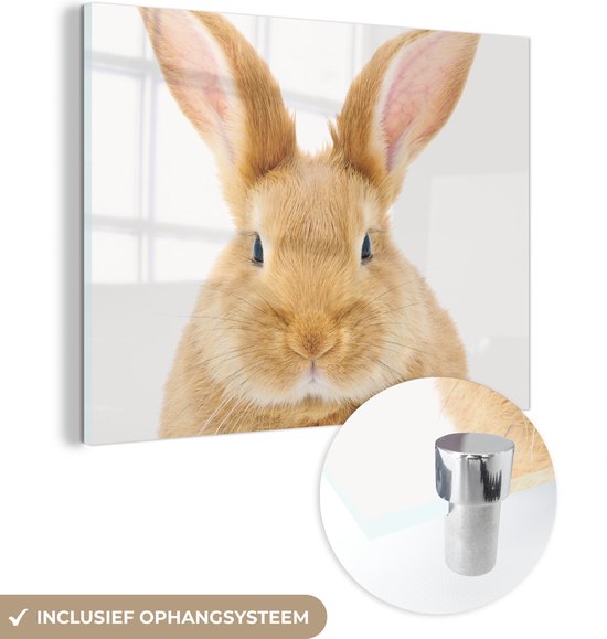 MuchoWow® Peinture sur verre 160x120 cm - Peinture sur verre acrylique - Enfants - Lapin - Enfant - Filles - Garçons - Photo sur verre - Peintures