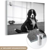 MuchoWow® Glasschilderij 180x120 cm - Schilderij acrylglas - Super schattige Berner Sennenhond puppy - zwart wit - Foto op glas - Schilderijen