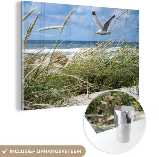 MuchoWow® Glasschilderij 180x120 cm - Schilderij acrylglas - Strand - Vogel - Planten - Foto op glas - Schilderijen