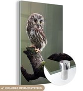 MuchoWow® Glasschilderij 40x60 cm - Schilderij acrylglas - Close-up van kleine uil - Foto op glas - Schilderijen