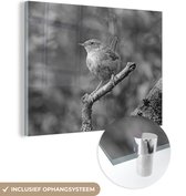 MuchoWow® Glasschilderij 160x120 cm - Schilderij acrylglas - Winterkoning op een takje in het bos - zwart wit - Foto op glas - Schilderijen