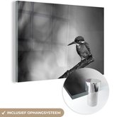 MuchoWow® Glasschilderij 180x120 cm - Schilderij acrylglas - IJsvogel fotoprint - zwart wit - Foto op glas - Schilderijen