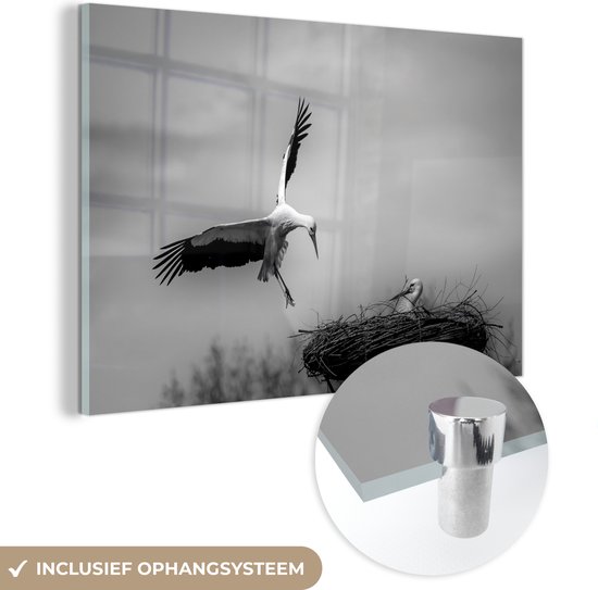 MuchoWow® Glasschilderij 60x40 cm - Schilderij acrylglas - Prachtige foto van een ooievaar die in zijn nest land - zwart wit - Foto op glas - Schilderijen