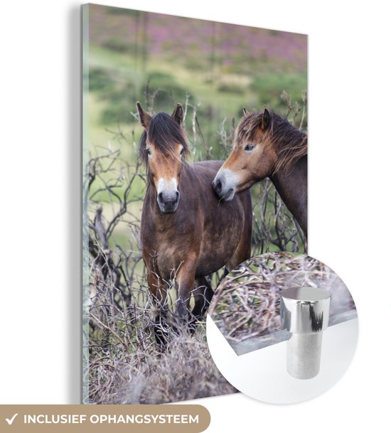MuchoWow® Glasschilderij 30x40 cm - Schilderij acrylglas - Paarden in het Nationaal park Exmoor in Engeland - Foto op glas - Schilderijen