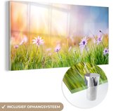 MuchoWow® Glasschilderij 160x80 cm - Schilderij acrylglas - Bloemen - Zonlicht - Lente - Foto op glas - Schilderijen