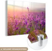 MuchoWow® Glasschilderij 30x20 cm - Schilderij acrylglas - Lavendel - Lente - Paars - Foto op glas - Schilderijen