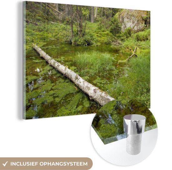Étang dans les bois du parc national de Tiveden en Suède Plexiglas 90x60 cm - Tirage photo sur Glas (décoration murale en plexiglas)