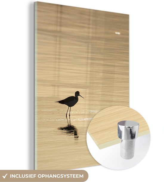 Une avocette cherche de l'eau lors d'un coucher de soleil Plexiglas 120x160 cm - Tirage photo sur Glas (Décoration murale plexiglas) XXL / Groot format!