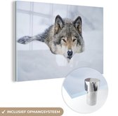 MuchoWow® Glasschilderij 90x60 cm - Schilderij acrylglas - Wolf - Sneeuw - Vacht - Foto op glas - Schilderijen