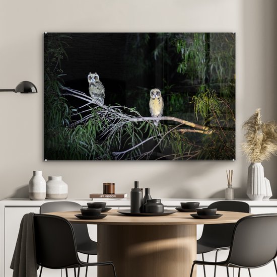 Deux chouettes fauves à rayures dans la nuit de la forêt tropicale Plexiglas 120x80 cm - Tirage photo sur verre (décoration murale en plexiglas)