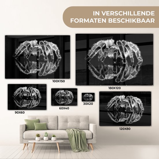 ® Glasschilderij 180x120 cm - Schilderij acrylglas - Studio shot van een tarantula - Foto op glas - Muurdecoratie woonkamer - Wanddecoratie slaapkamer - Schilderijen