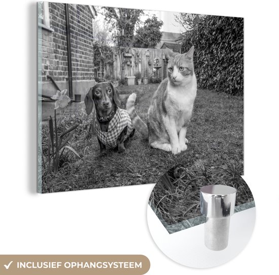 MuchoWow® Glasschilderij 60x40 cm - Schilderij acrylglas - Hond en kat zittend in het gras - zwart wit - Foto op glas - Schilderijen