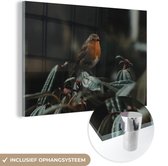 MuchoWow® Glasschilderij 30x20 cm - Schilderij acrylglas - Vogel - Roodborstje - Plant - Foto op glas - Schilderijen