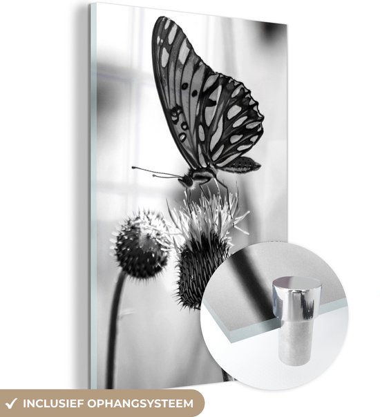 MuchoWow® Glasschilderij 80x120 cm - Schilderij acrylglas - Vlinder op distel in bloemenveld - zwart wit - Foto op glas - Schilderijen