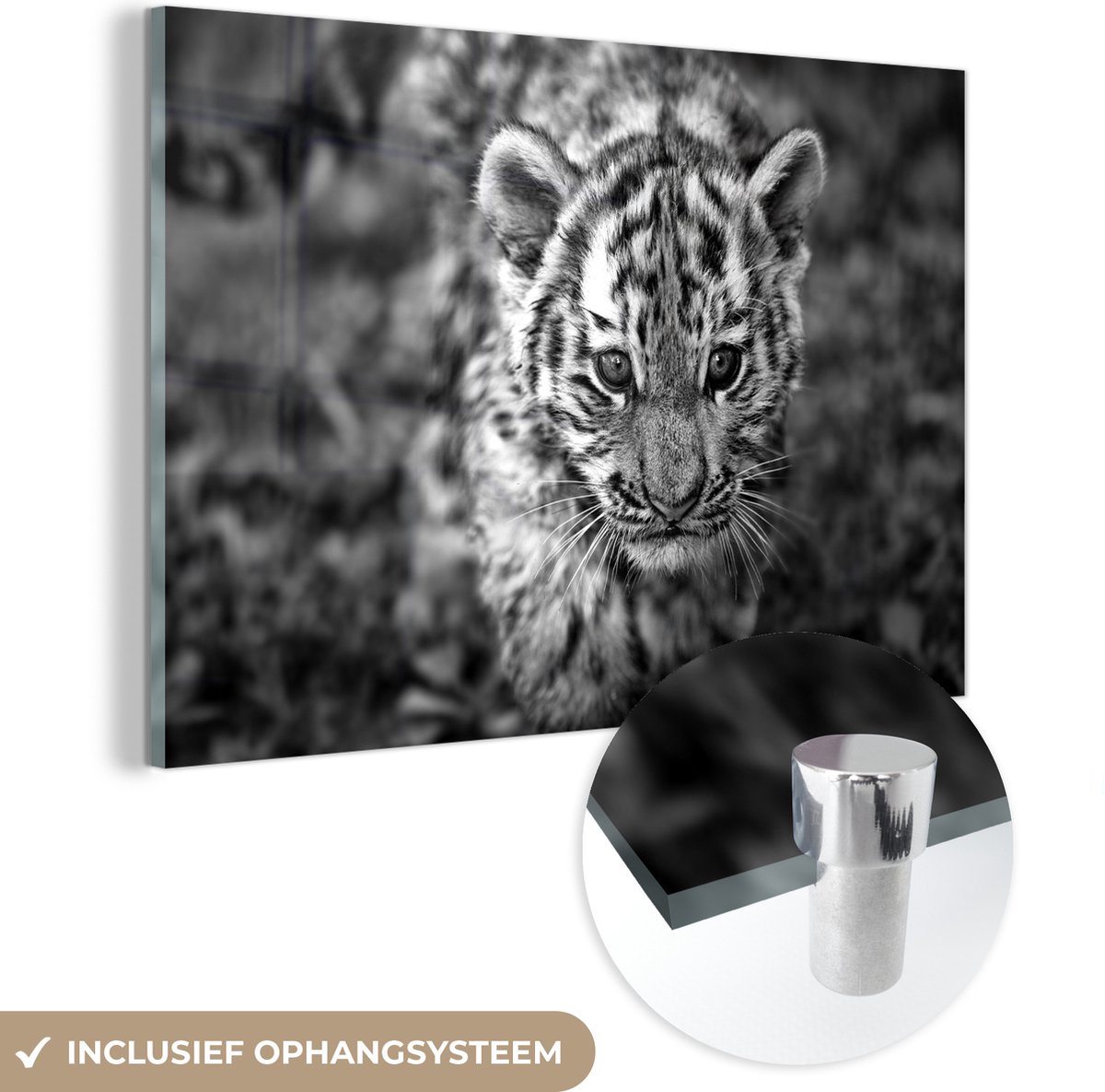 ® Glasschilderij 180x120 cm - Schilderij acrylglas - Tijger - Baby - Natuur - Foto op glas - Muurdecoratie woonkamer - Wanddecoratie slaapkamer - Schilderijen