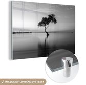 MuchoWow® Glasschilderij 60x40 cm - Schilderij acrylglas - Boom in het water - zwart wit - Foto op glas - Schilderijen