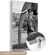MuchoWow® Glasschilderij 80x120 cm - Schilderij acrylglas - Baby olifant communiceert met moeder - zwart wit - Foto op glas - Schilderijen