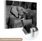 MuchoWow® Glasschilderij 90x60 cm - Schilderij acrylglas - Stoeiende olifanten - zwart wit - Foto op glas - Schilderijen