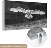 MuchoWow® Glasschilderij 160x80 cm - Schilderij acrylglas - Sneeuwuil vliegt met gestrekte vleugels - zwart wit - Foto op glas - Schilderijen