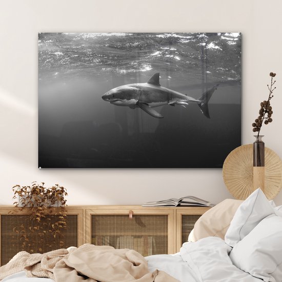 Peinture sur verre - Grand requin blanc - noir et blanc - 120x80 cm - Peintures sur Verre Peintures - Photo sur Glas