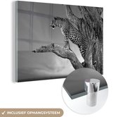 MuchoWow® Glasschilderij 120x80 cm - Schilderij acrylglas - Close-up luipaard in de boom - zwart wit - Foto op glas - Schilderijen