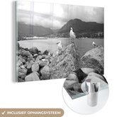 MuchoWow® Glasschilderij 30x20 cm - Schilderij acrylglas - Hartlaubs meeuwen staat boven op een rots aan het water in Zuid-Afrika - zwart wit - Foto op glas - Schilderijen