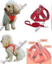 Hondenharnas | Puppy Tuigje | Geschikt voor teacup en toy breeds | Rood | XXS