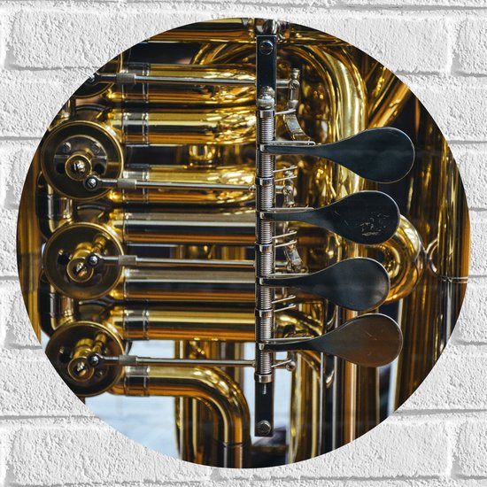 Muursticker Cirkel - Knoppen van Gouden Trompet - 50x50 cm Foto op Muursticker
