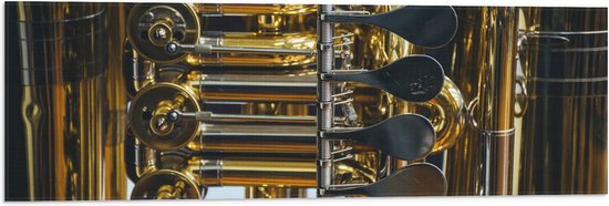 Vlag - Knoppen van Gouden Trompet - 90x30 cm Foto op Polyester Vlag
