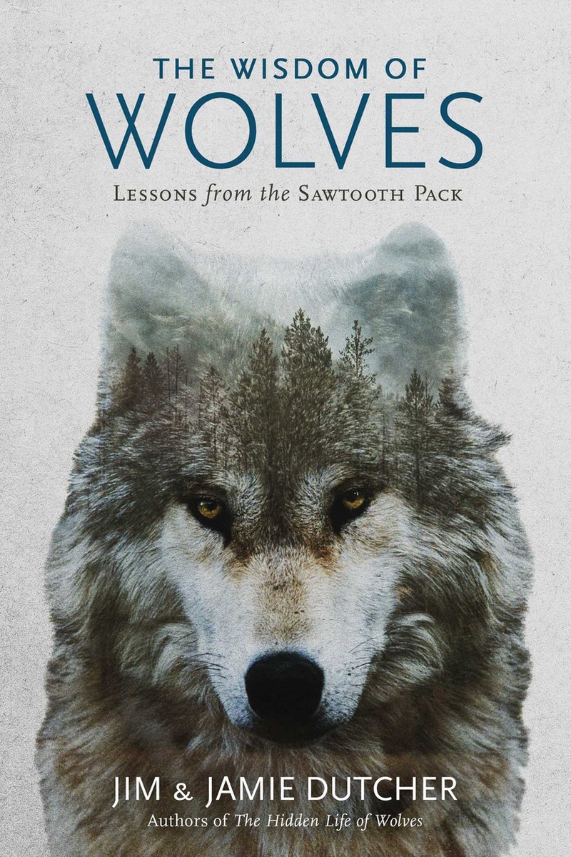 The Wisdom of Wolves Lessons from the Sawtooth Pack - Jamie Dutcher