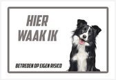 Waakbord/ bord | "Hier waak ik" | 30 x 20 cm | Bordercollie | Dikte: 1 mm | Border Collie | Waakhond | Hond | Chien | Dog | Betreden op eigen risico | Polystyreen | Rechthoek | Witte achtergrond | 1 stuk