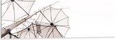 Dibond - Doorzichtige Paraplu Vormen tegen Witte Achtergrond - 150x50 cm Foto op Aluminium (Wanddecoratie van metaal)