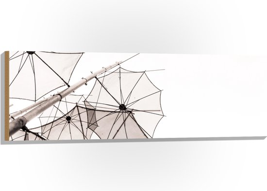 Hout - Doorzichtige Paraplu Vormen tegen Witte Achtergrond - 120x40 cm - 9 mm dik - Foto op Hout (Met Ophangsysteem)