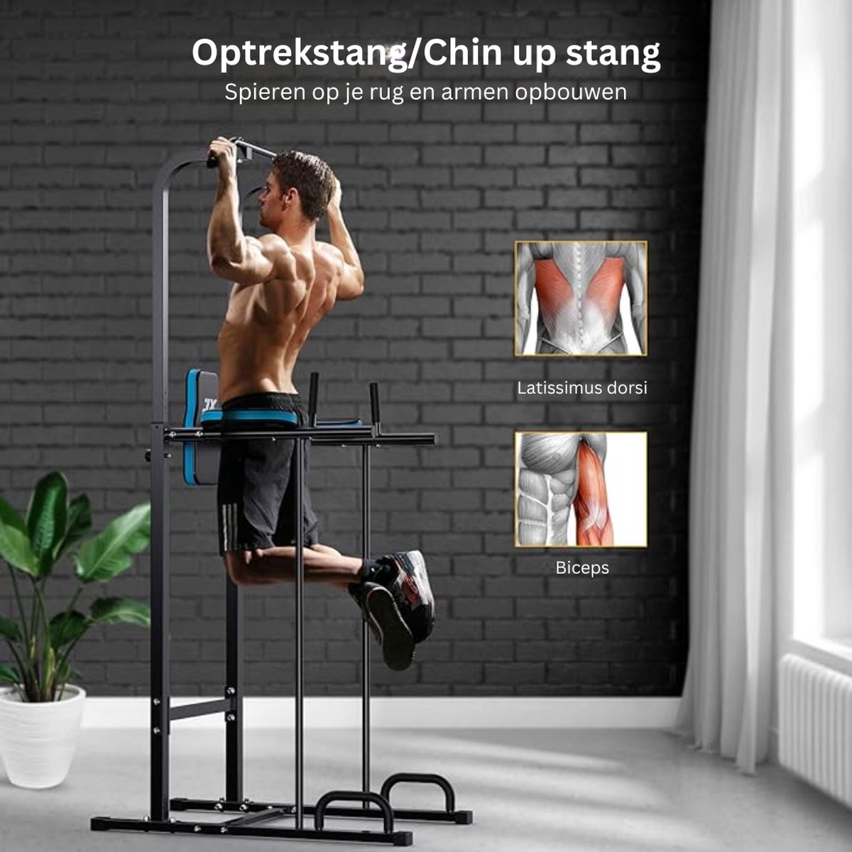 Power Tower (Pull Up/ Chin Up/ Dips/ Leg Raise) 3K | KRACHTSTATIONS - FITNESS PRODUCE - Professionele Fitnessapparatuur